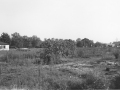 Unbebaut-Blick-nach-NO-Esso